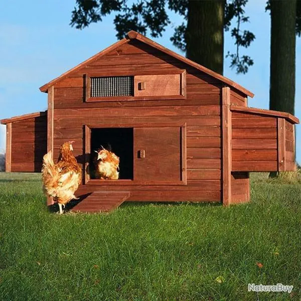 Poulailler 8 poules abri caille volaille GEANT NEUF poulailler XXL abri volaille canard