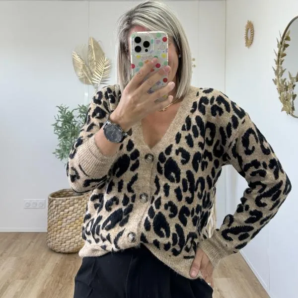 Pull  gilet Richard